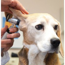 HEINE G100 LED slit illumination head