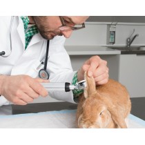 HEINE BETA 200 LED VET F.O. otoscope Kit