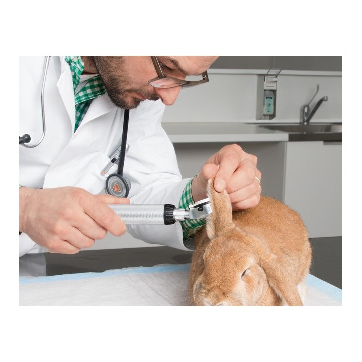 HEINE BETA 200 LED VET F.O. otoscope Kit