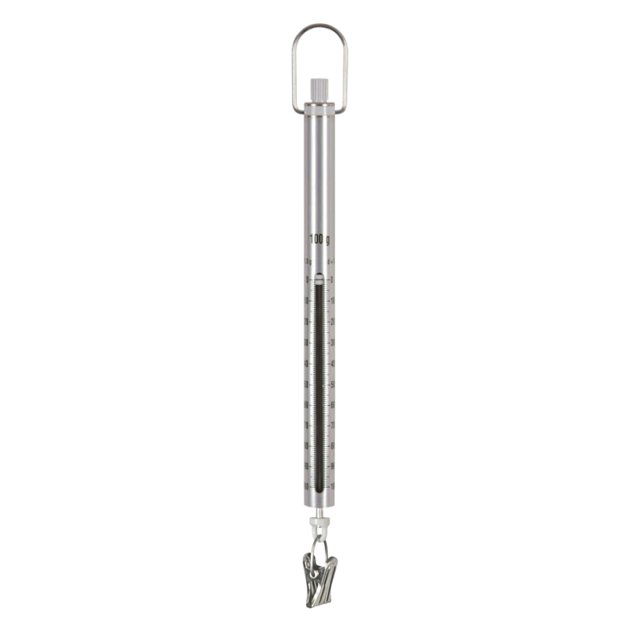 SAUTER spring balance 281-301