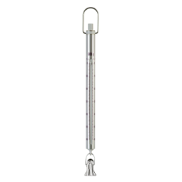 SAUTER spring balance 281-451