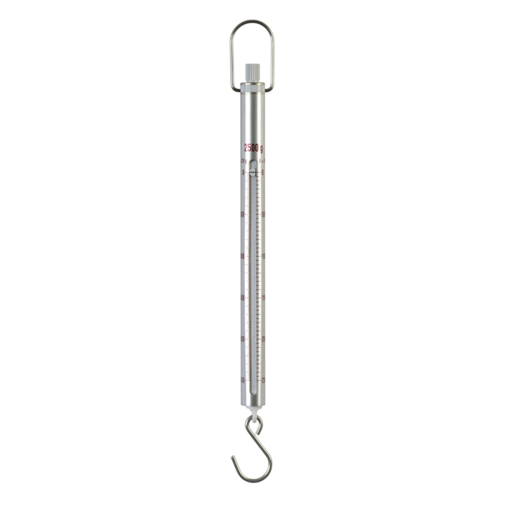 SAUTER spring balance 281-752